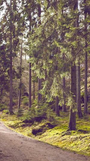 小小白cos黑料截图2