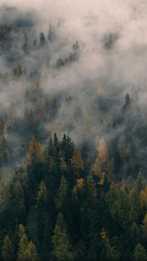 黑料不打烊 吃瓜网截图4