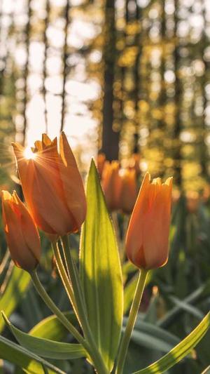 吃瓜吃到自己家截图3