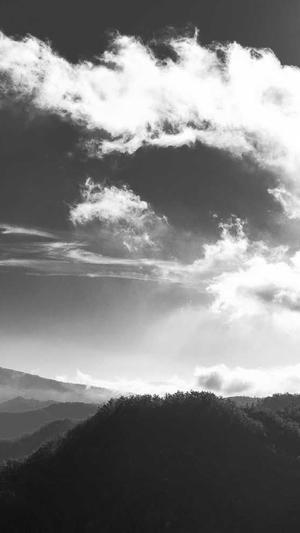 项思醒吃瓜后续截图1