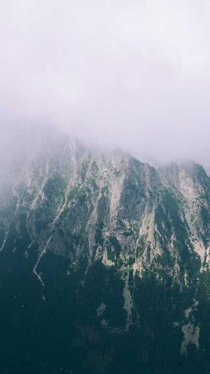 吃瓜黑料在线观看截图1