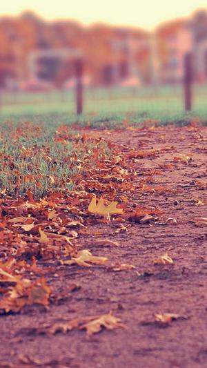 周黑鸭卤料配方截图3