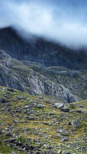 钓黑坑用什么料截图4