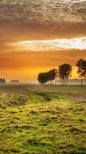 我算命你吃瓜我的功德靠大家截图3