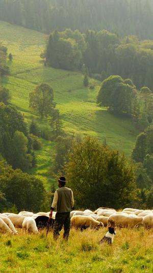 51吃瓜黑料截图4