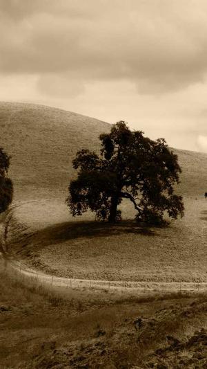 bigbang黑料截图1