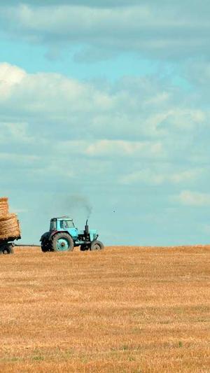 范丞丞黑料截图3