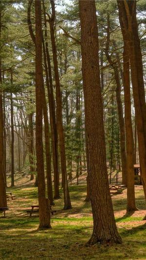 51吃瓜网最新入口截图1