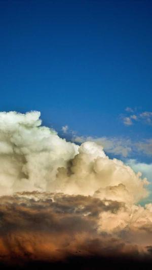 哈密瓜和螃蟹能一起吃吗截图3