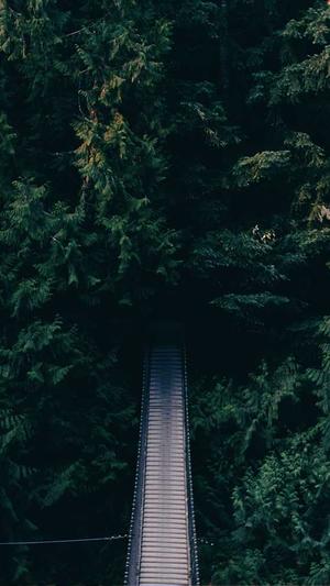 关于吃瓜群众故事作文截图2