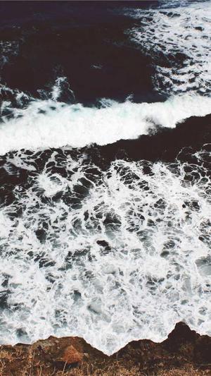 专门吃瓜的网址截图1