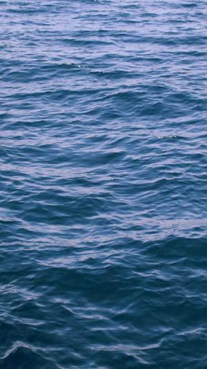 安妮海瑟薇黑料截图4