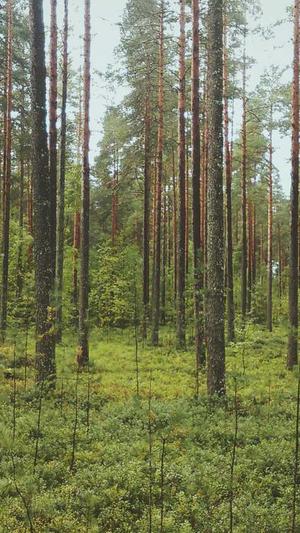 黑料不打烊tttzzz07.su截图4