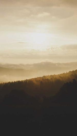 胖翻译官吃瓜截图1