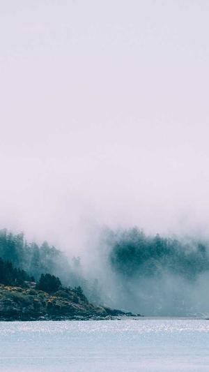 黑料视频网站截图1