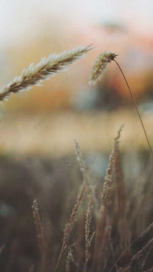 黑料正能量入口是什么截图2