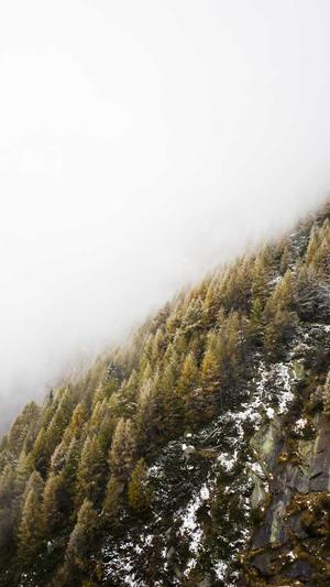 黑料不打烊最新地址入口截图3