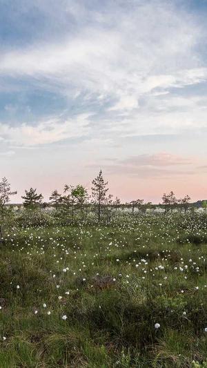 小小白cos黑料截图5