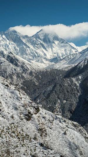 吃瓜吃到自己家截图2