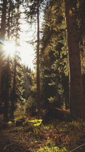 91吃瓜网在线观看截图3