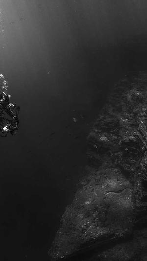 吃瓜岱宗岱截图2