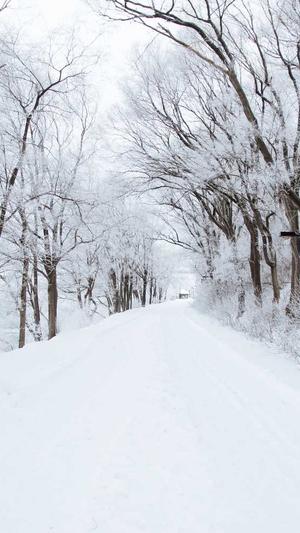 娱乐718 吃瓜官网截图1