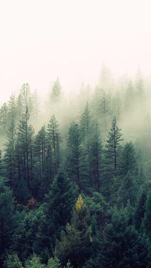 李易峰黑料截图3