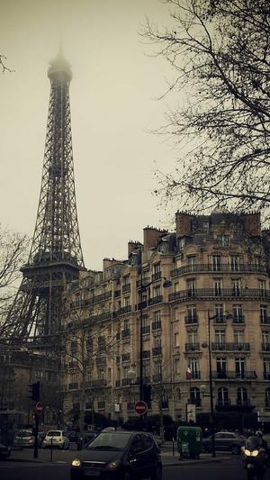 孕妇可不可以吃哈密瓜截图2