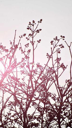 娱乐718 吃瓜官网截图5