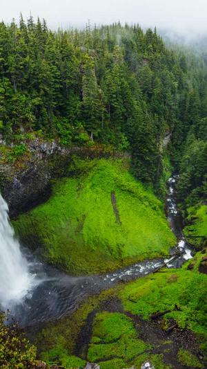 91吃瓜顶楼的大象截图5