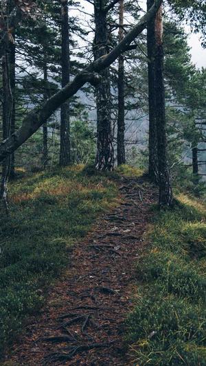 51吃瓜 onlyfans nana截图4