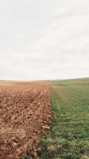 吃中药可以吃哈密瓜吗截图4