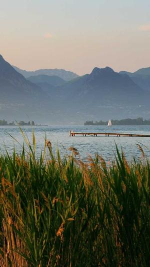 芒果和哈密瓜可以一起吃吗截图2