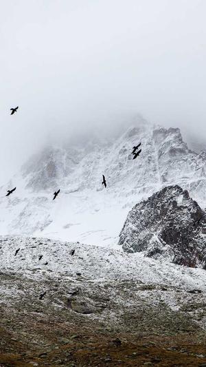 女配吃瓜日常截图4