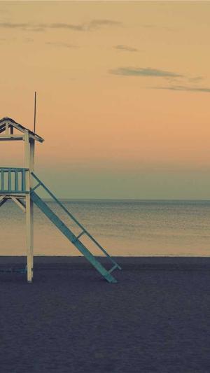 黑坑钓罗非窝料截图2