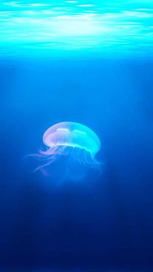 黑料门-今日黑料截图2