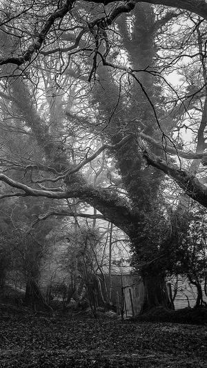 蛇瓜怎么吃要削皮吗截图2