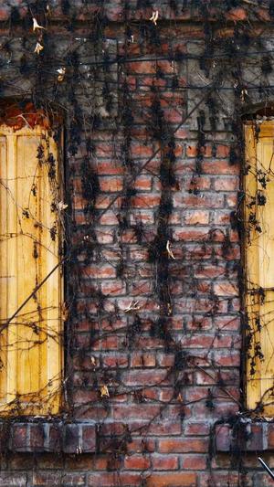 吃瓜合集pdf截图2