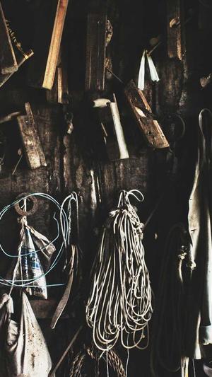 抖音奶片的瓜在哪里吃截图3