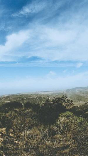 吾爱吃瓜黑料截图2