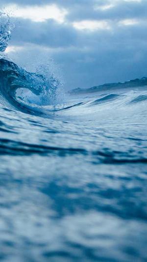 黑料不打烊最新入口截图4