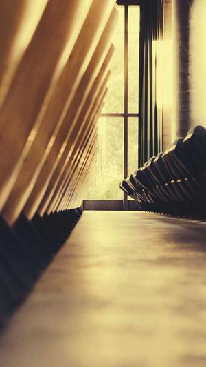 黑料不打烊,万里长征截图3