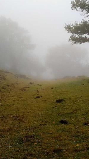 钓黑坑用什么料截图1