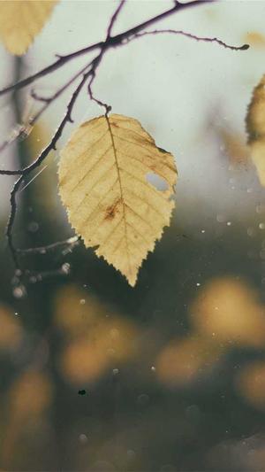 黑料不打烊tttzzz首页截图4