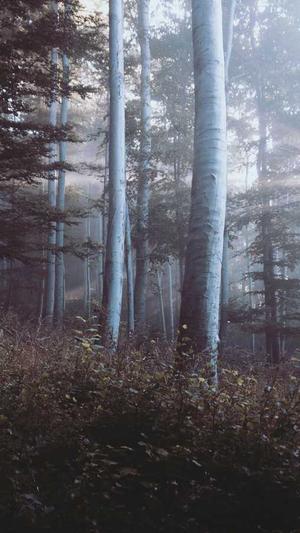 91黑料吃瓜截图2