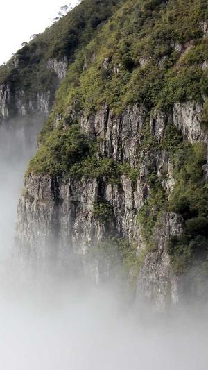 cggolive吃瓜官网截图1